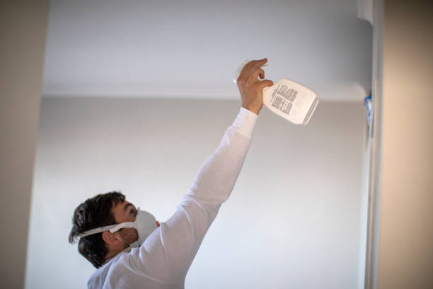 Best Mold Removal Company Near Me  in Sistersville, WV