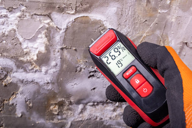 Trusted Sistersville, WV Mold Removal Experts
