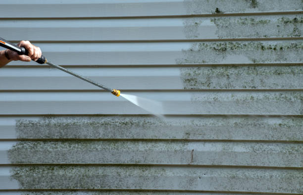 Best Commercial Mold Removal  in Sistersville, WV