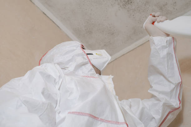 Best Mold Cleaning Services  in Sistersville, WV