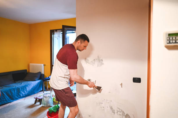 Best Affordable Mold Removal  in Sistersville, WV